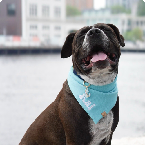 kai | kai15