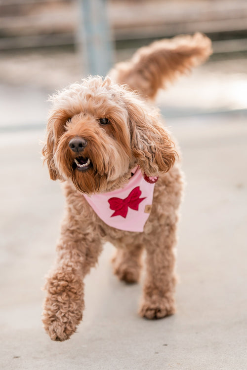 Rep content