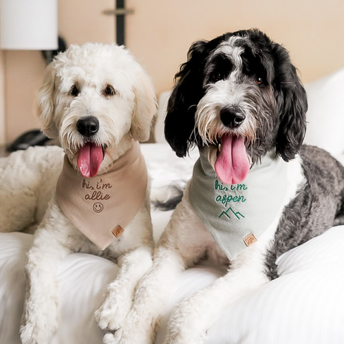 aspen & allie | aspenallie15