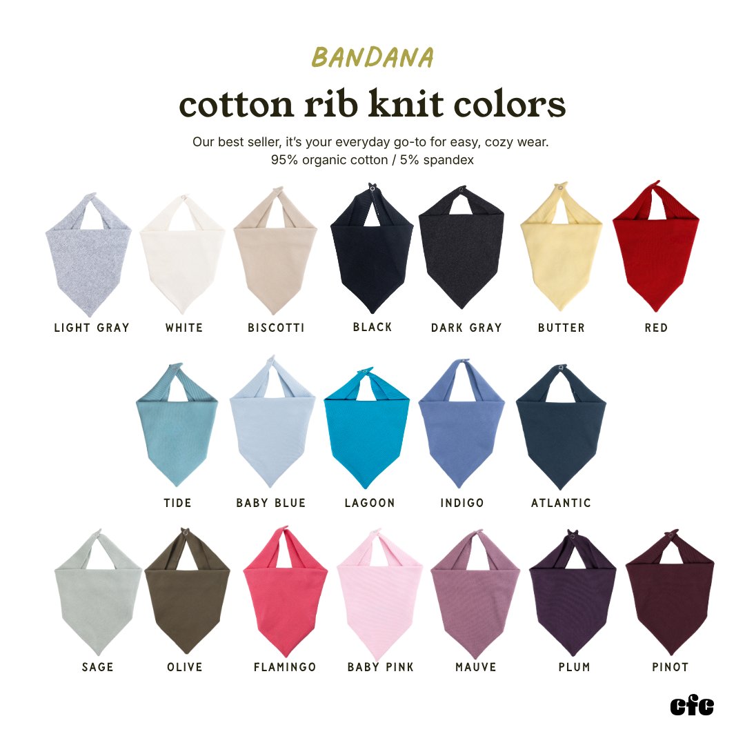 Booked for Fall Embroidered Bandana