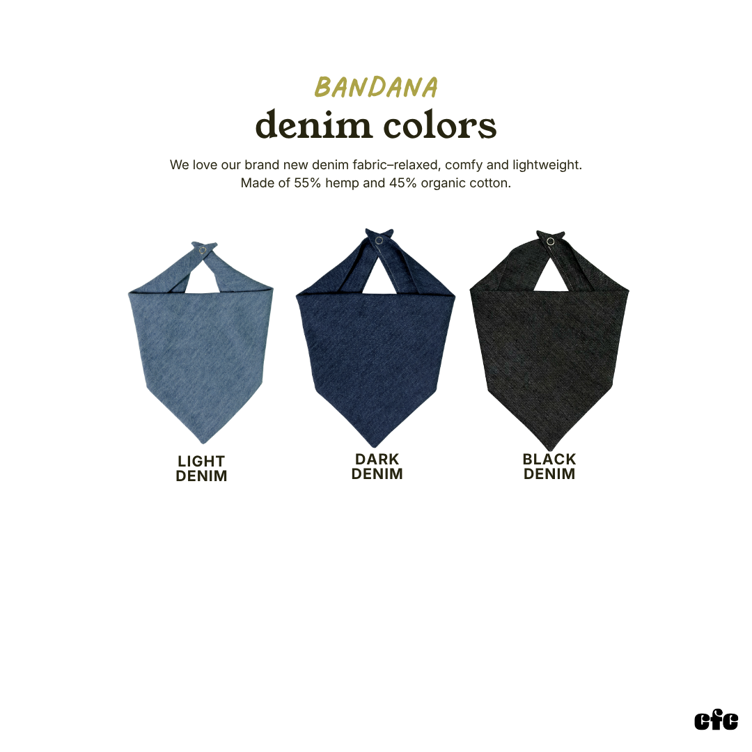Booked for Fall Embroidered Bandana