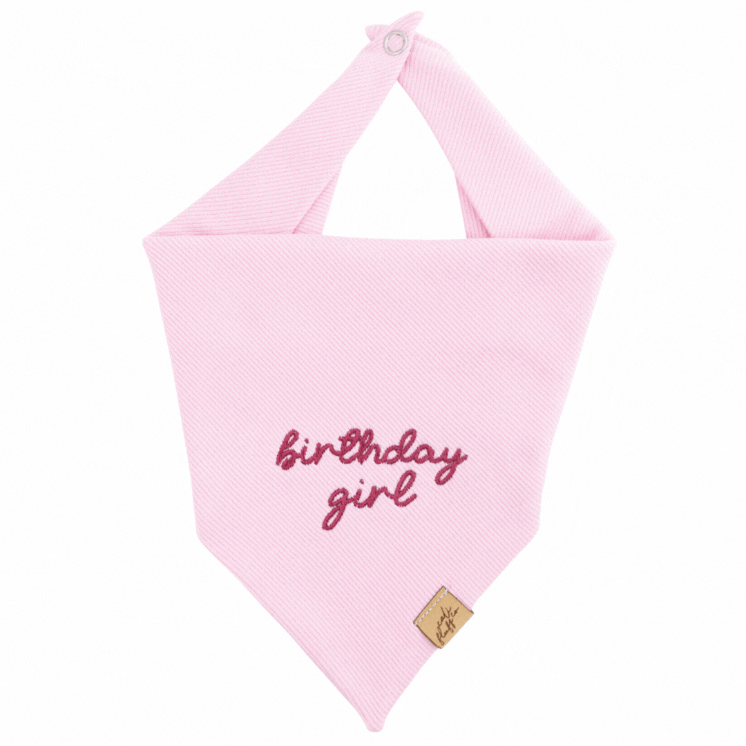 Birthday Embroidered Bandana