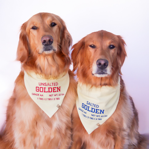 everest & ellinor
