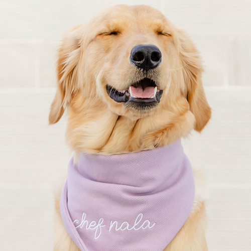nala | nala15