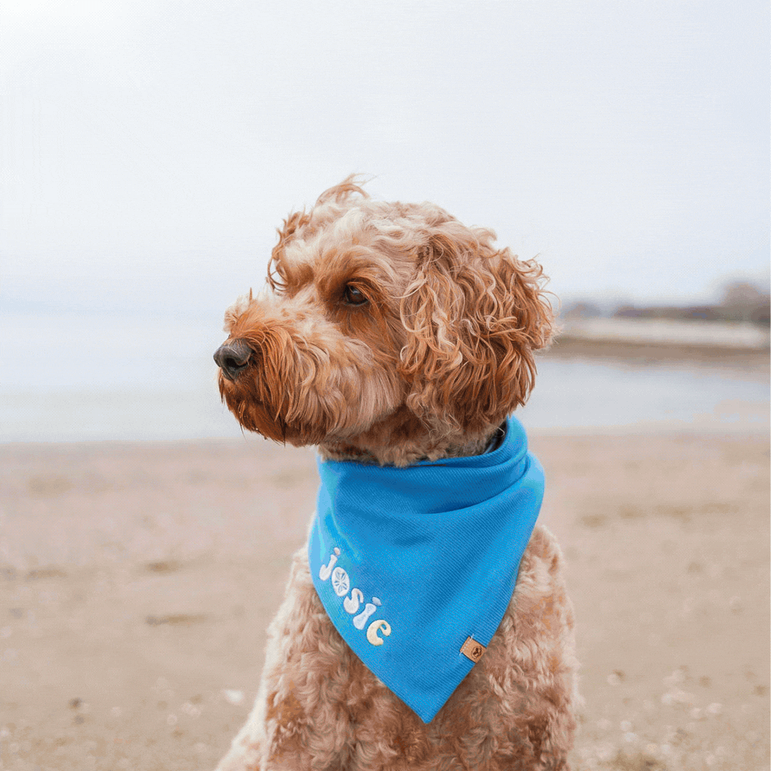 Custom Rib Knit Embroidered Bandana