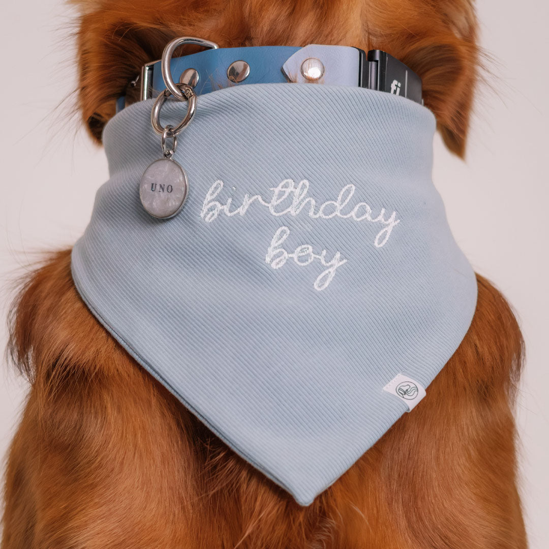 Birthday + Gotcha Day Embroidered Bandana