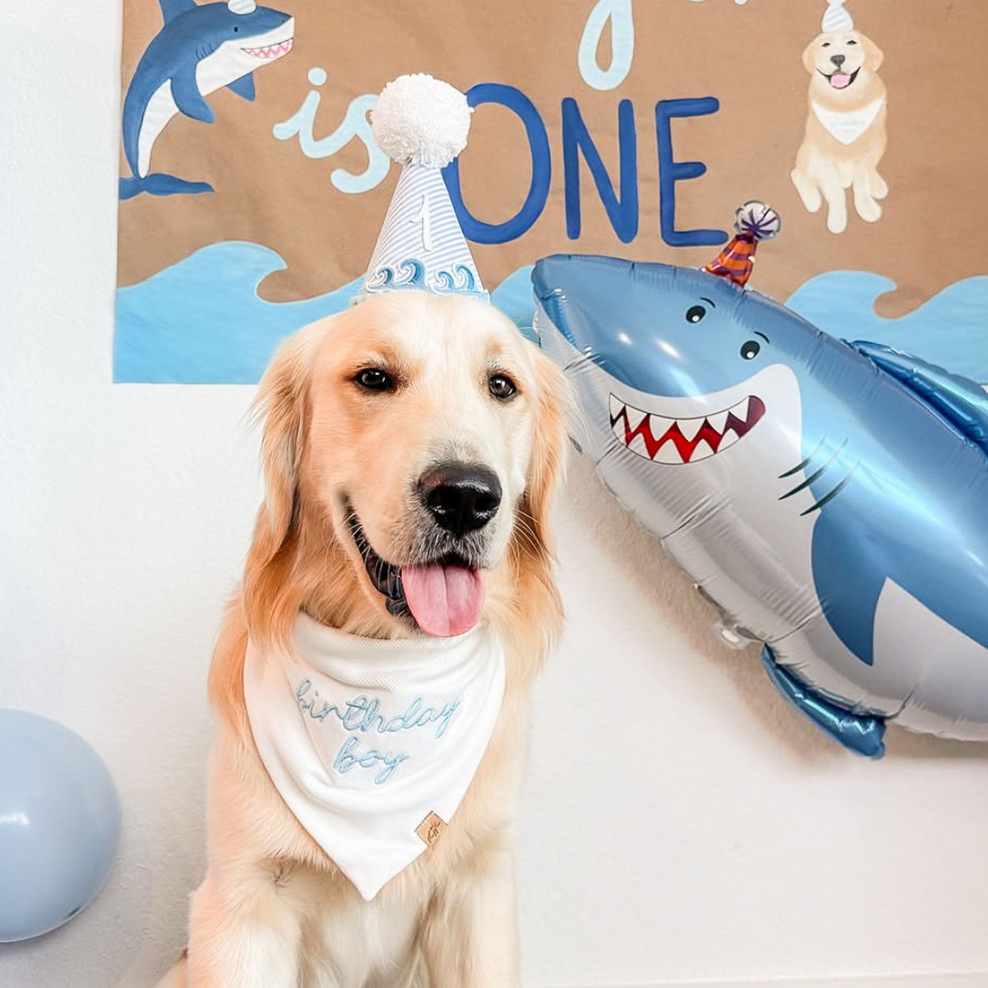 Birthday Embroidered Bandana