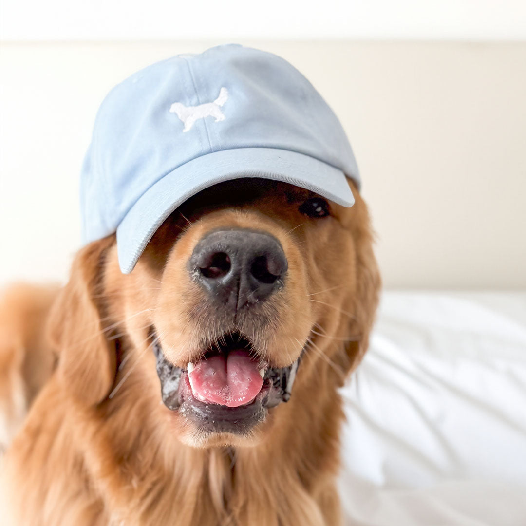 Dog Breed Hat