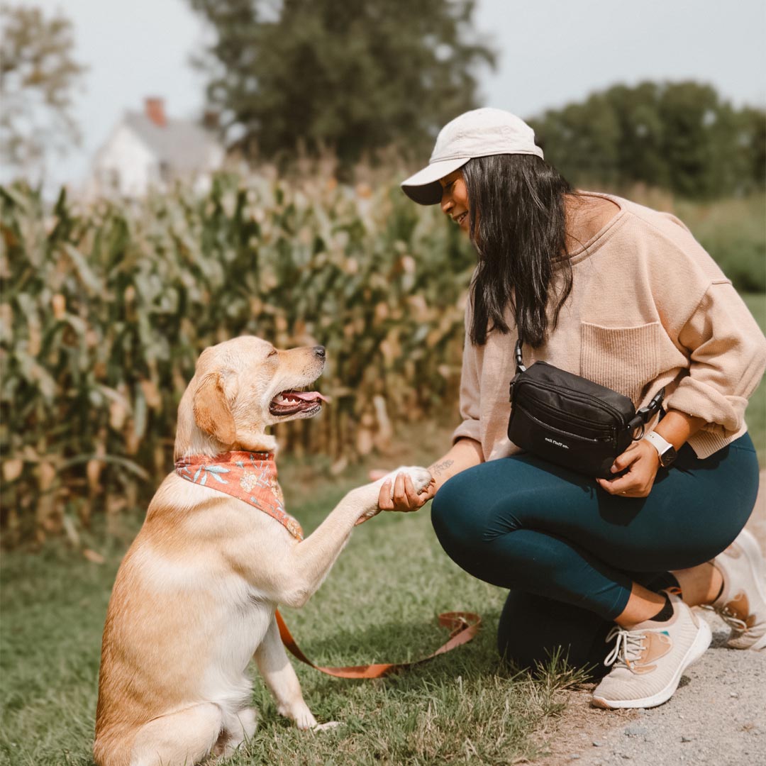 The Everyday Bum Bag