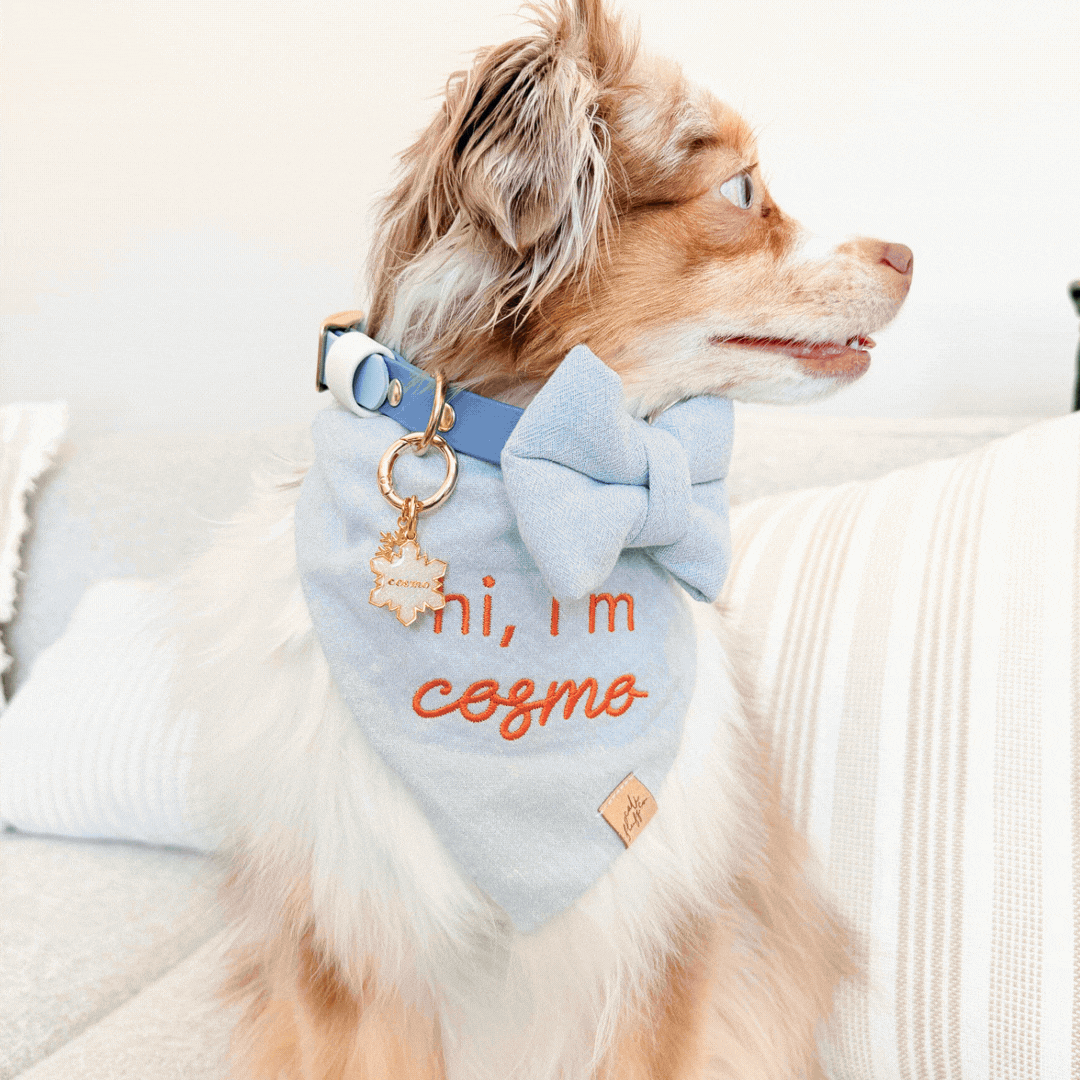 Custom Chambray Embroidered Bandana