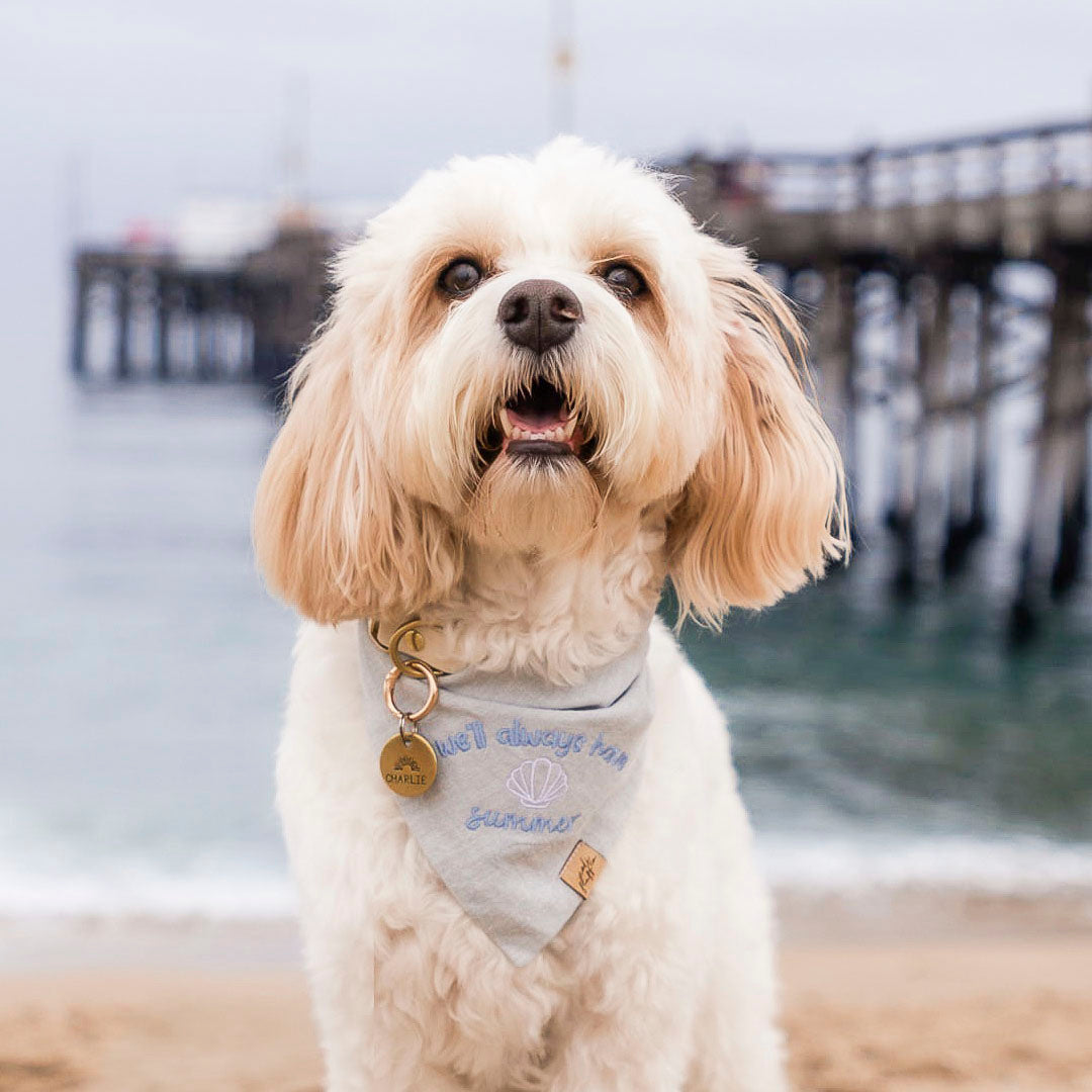 EMBROIDERED BANDANAS