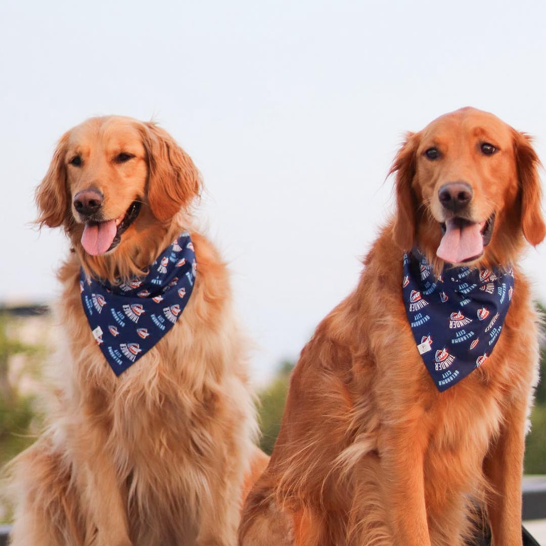 Custom Print Bandana