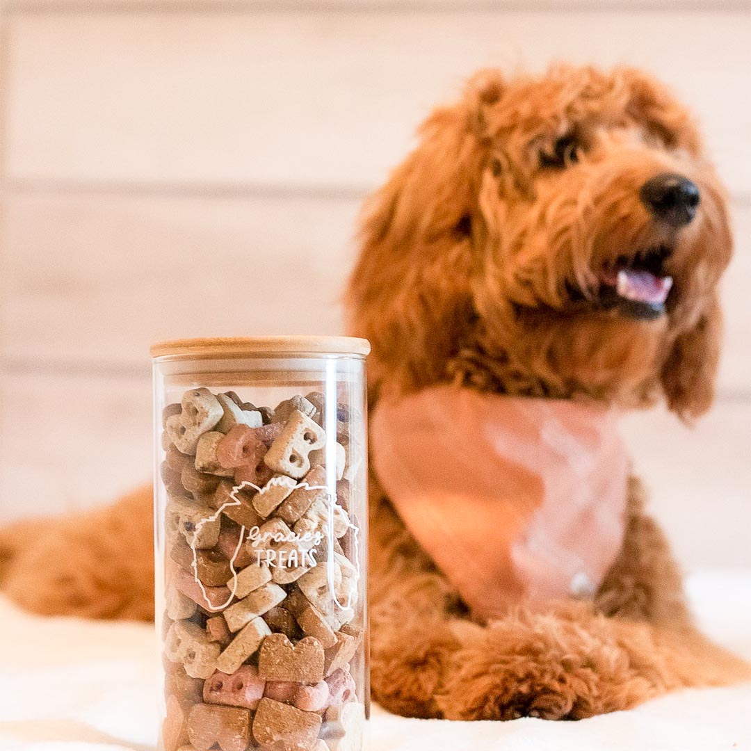 Custom Ears Dog Treat Jar