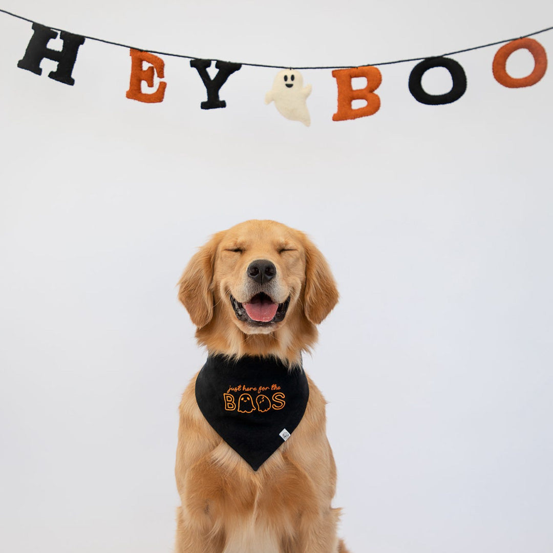 Here for the Boos Embroidered Bandana