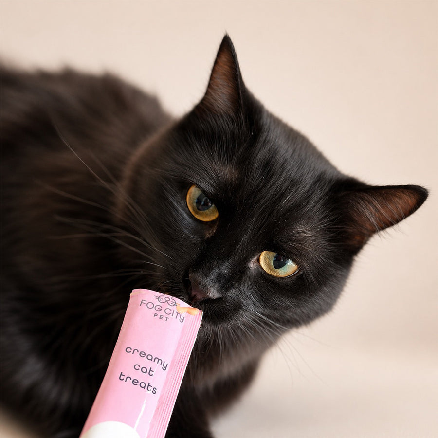 Fog City Lickable Cat Treats