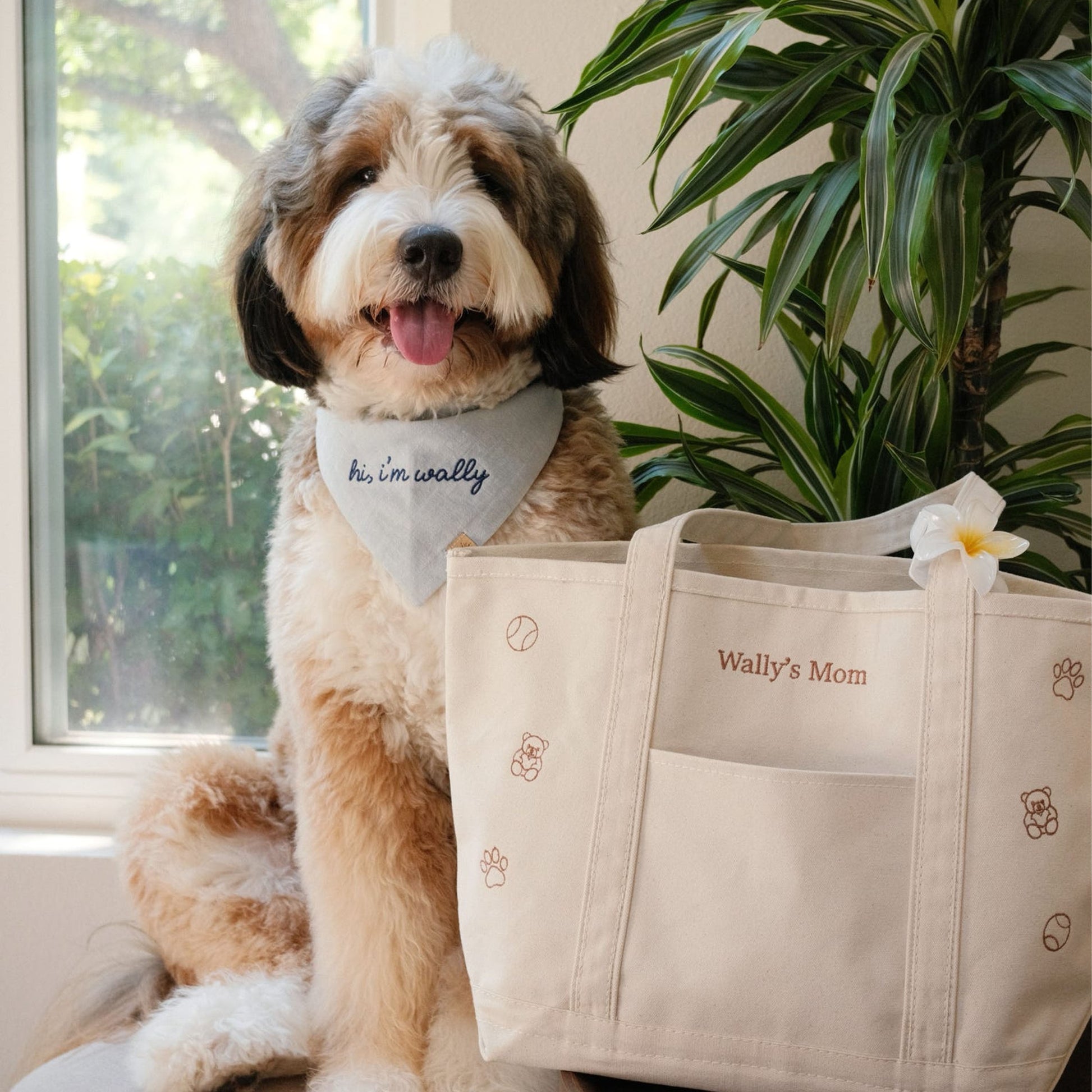 Embroidered Boat Tote