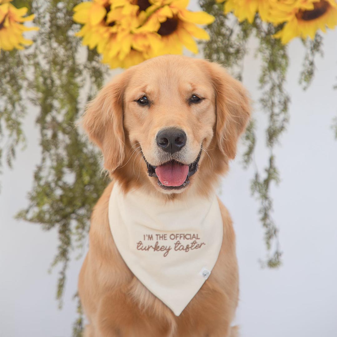 Official Turkey Taster Embroidered Bandana