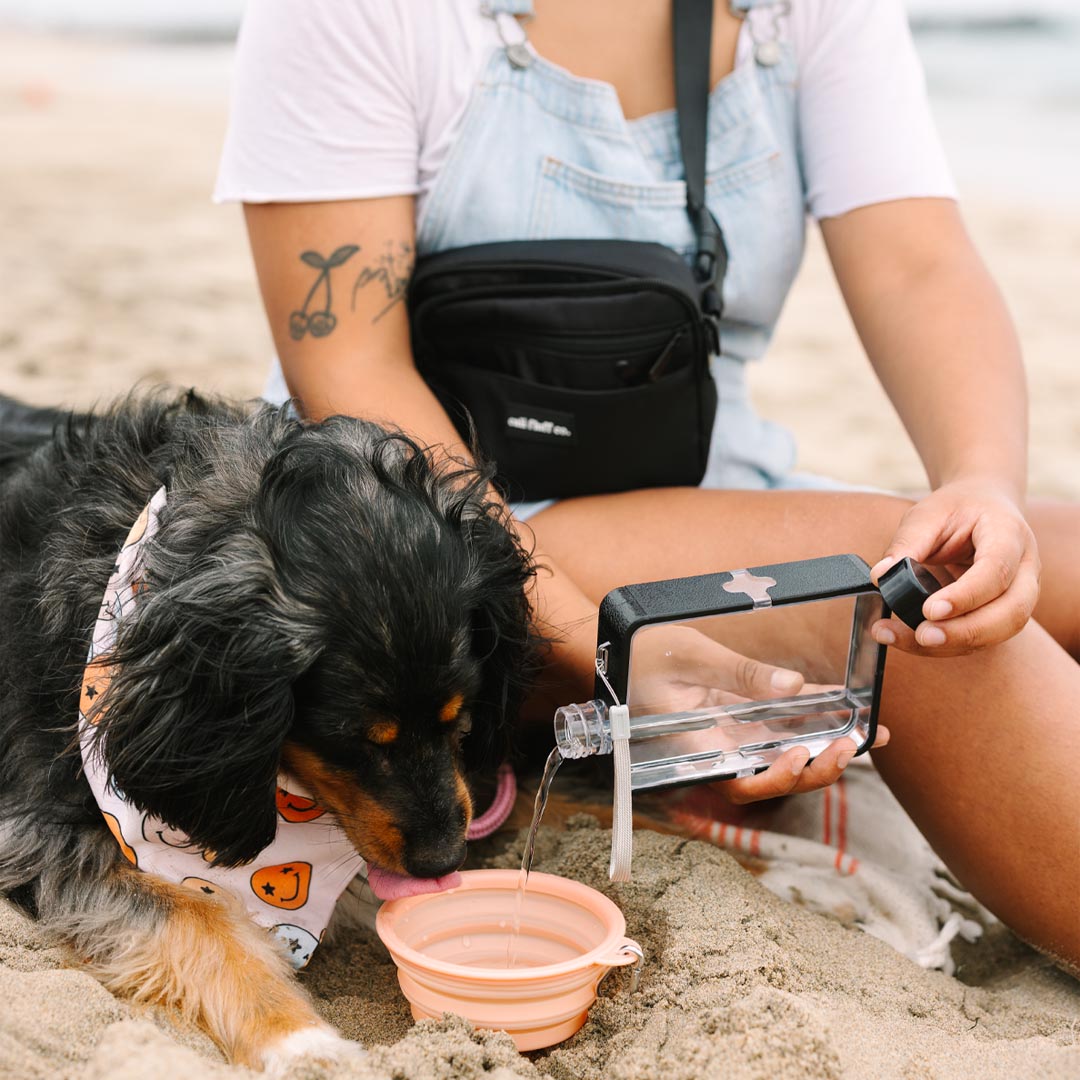 Minimal Water Bottle