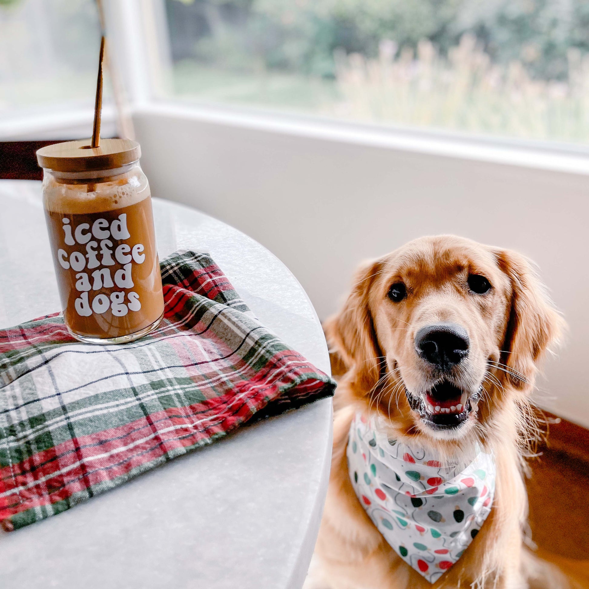 Iced Coffee + Dogs