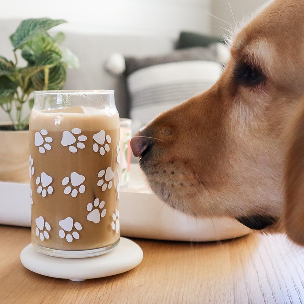 Paws For Coffee