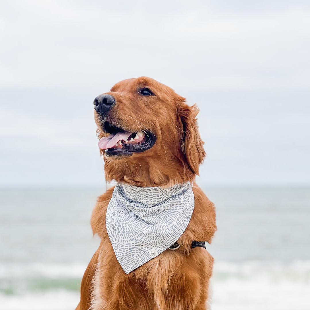 Custom Print Bandana