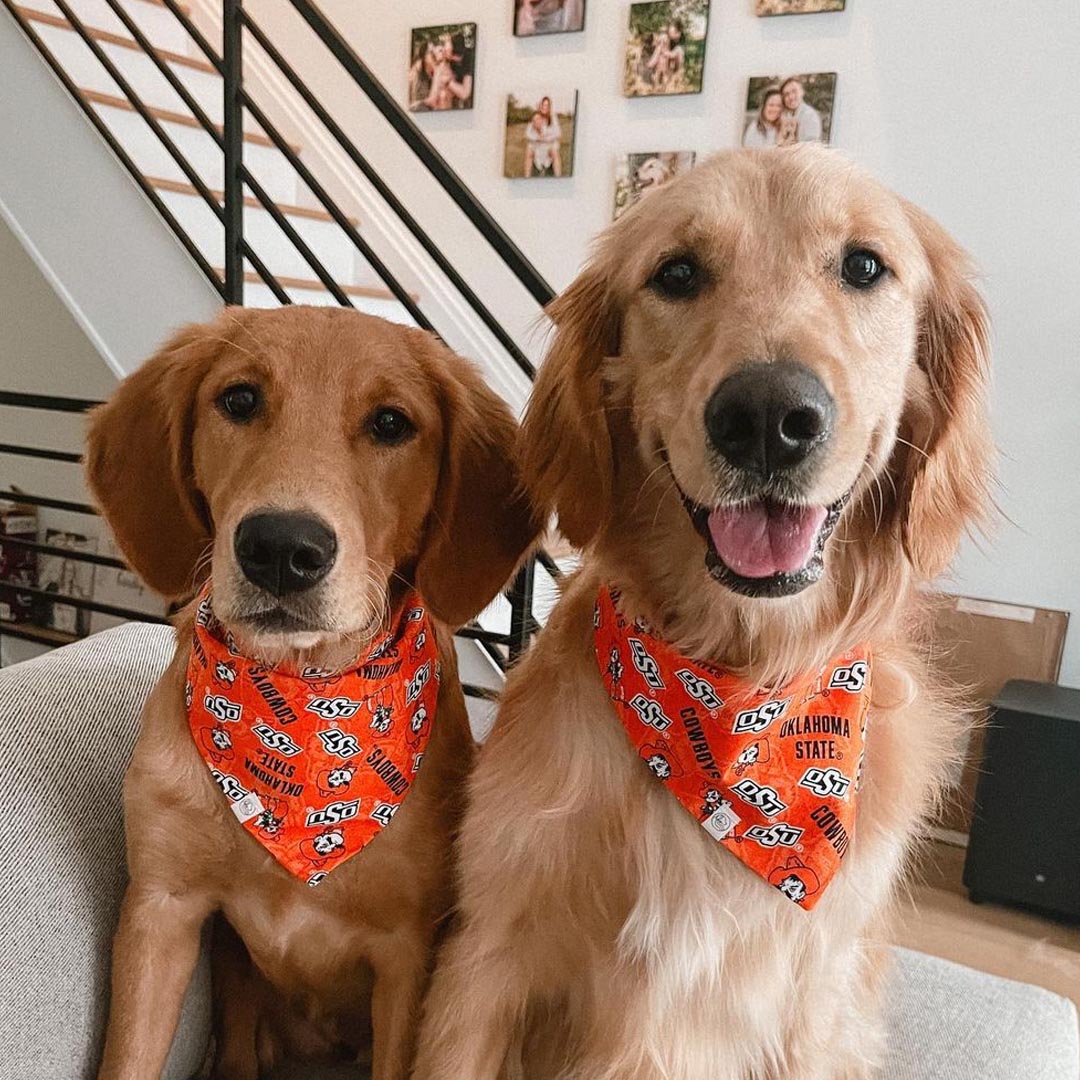 Custom Bandana