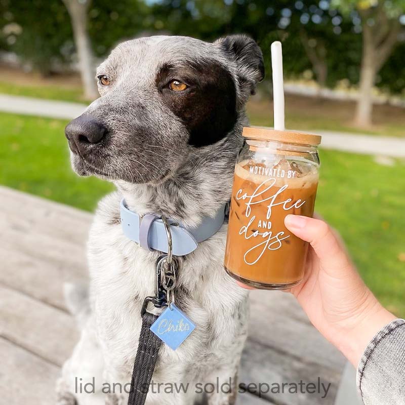 Motivated by Coffee + Dogs